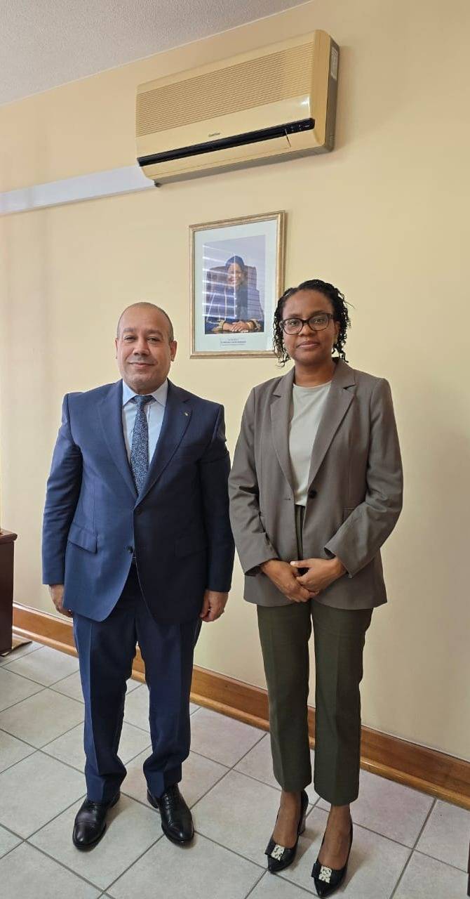 Algeria and Namibia: Strengthening Joint Diplomatic Coordination in Multilatéral Framework