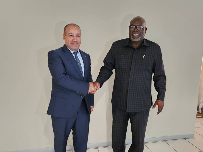 Towards Promising Horizons for Energy  Cooperation Between Algeria and Namibia.