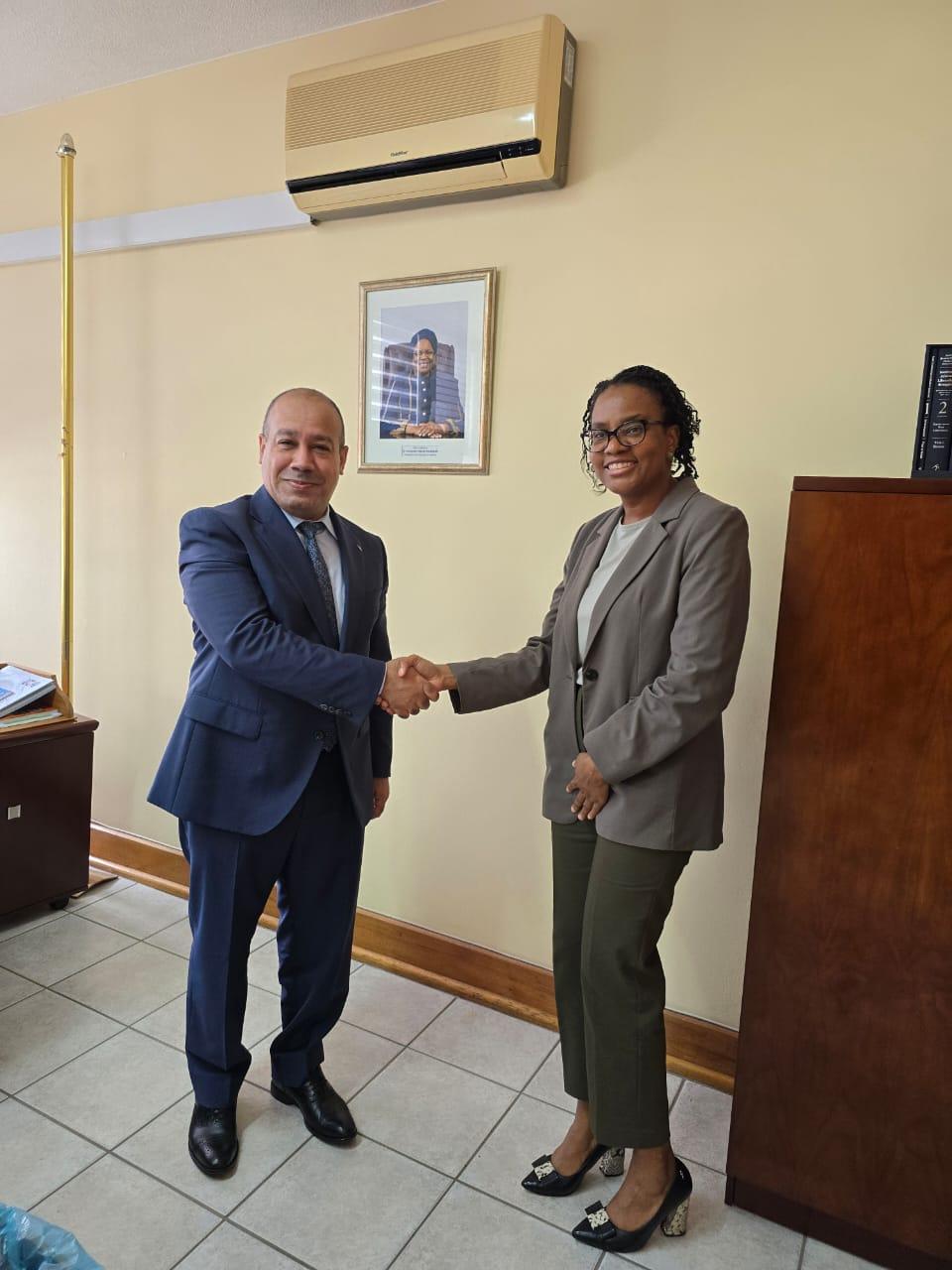 Algeria and Namibia: Strengthening Joint Diplomatic Coordination in Multilatéral Framework