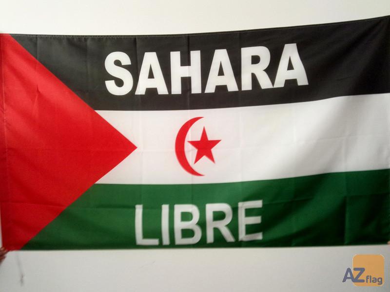 Algerian Foreign Minister Ahmed Attaf Discusses Western Sahara Developments